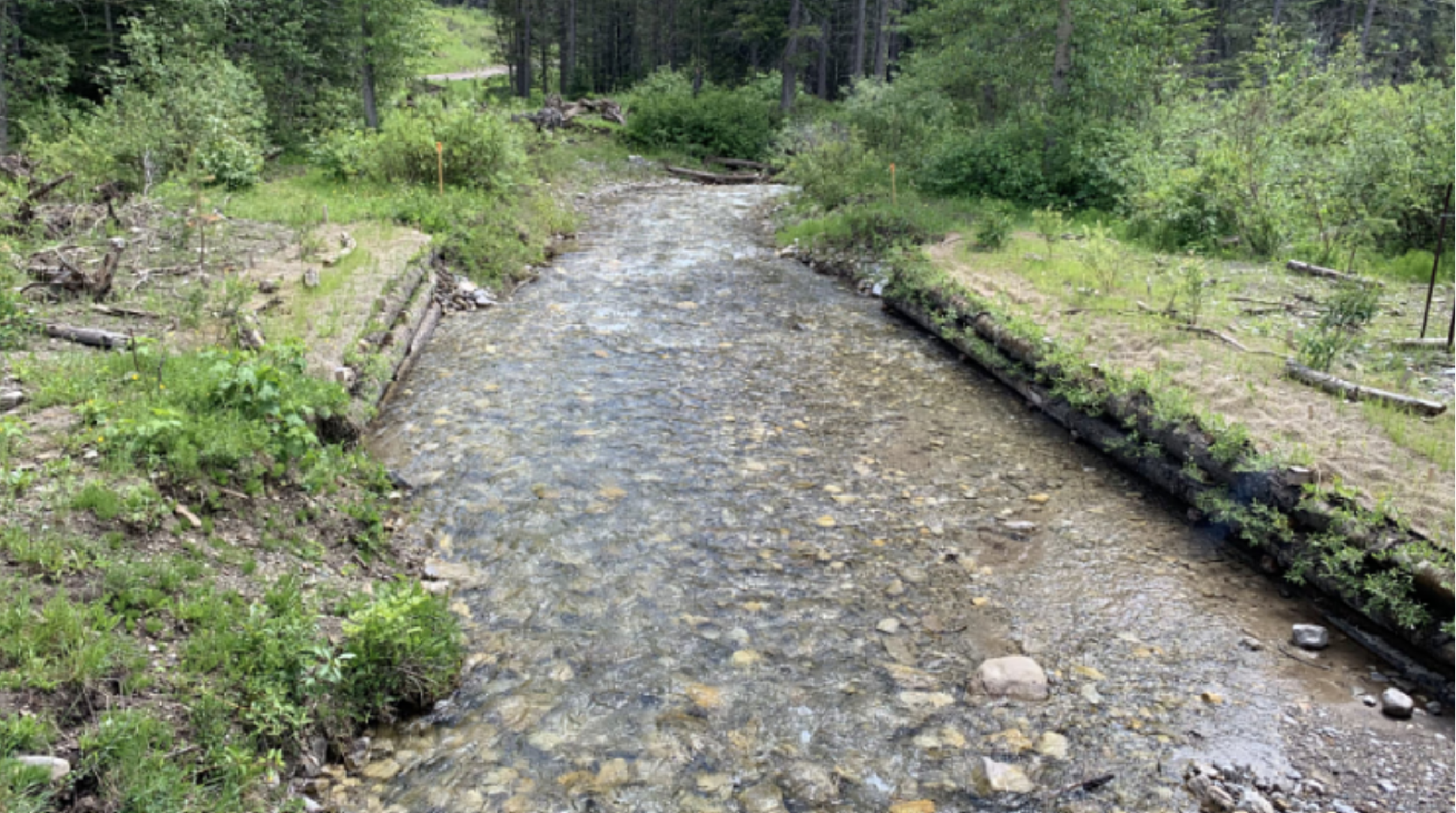 Allison & Lynx Creek Trout Habitat Improvement
